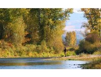 Fly Fishing Adventure in Jackson Hole, Wyoming