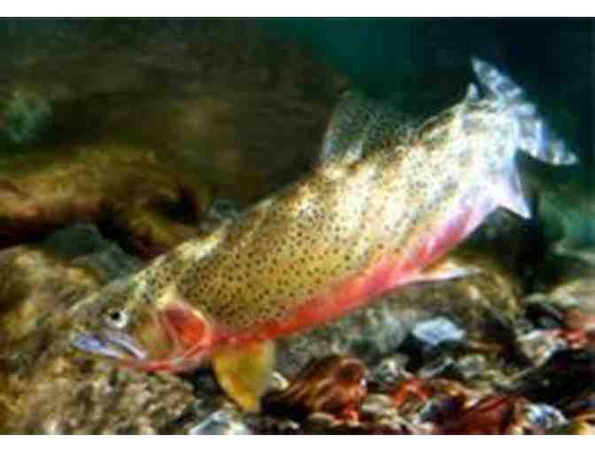 6 Day Idaho Fly Fishing and River Rafting Adventure for 2 People