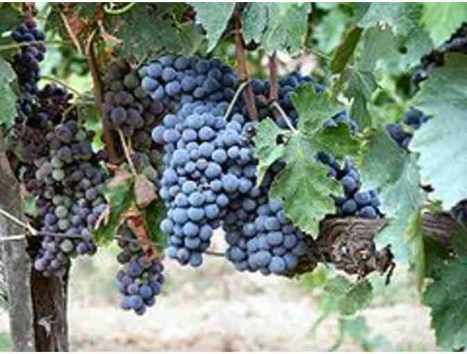 2 Bottles of Select Wines worth $100 from 54 Wines and Spirits