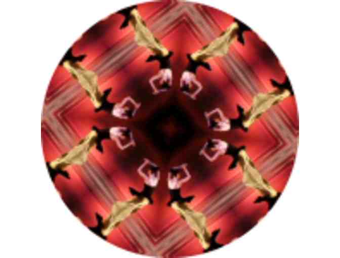 Movement for Better Health, Somatic Bodywork Session with Michelle Cohen-Cote