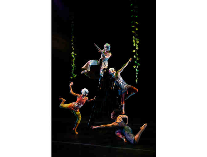 4 Tickets to Treehouse Shakers' Under The Tangle in Brooklyn