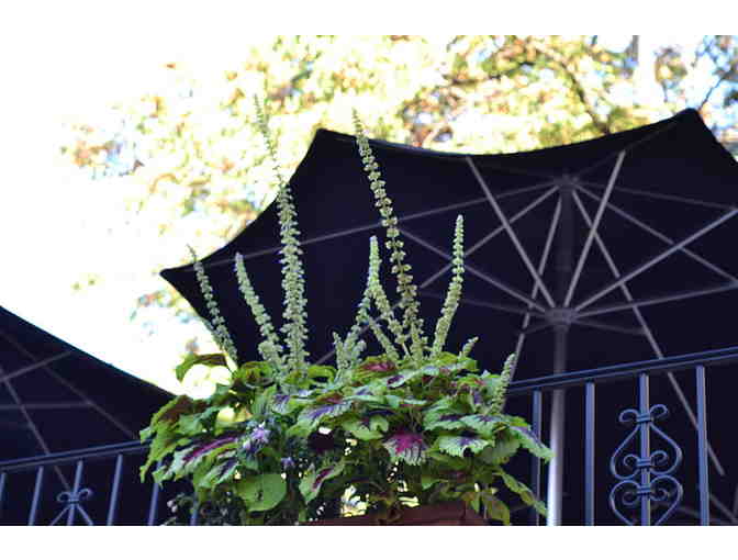 Prospect Bar and Grill $50 Gift Certificate in Brooklyn, NY