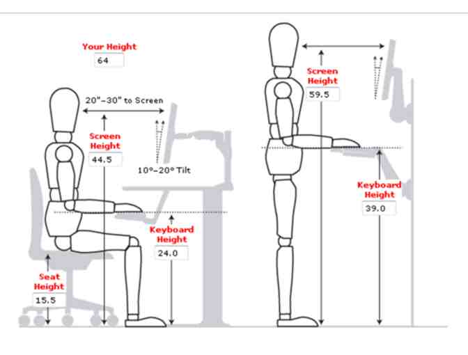 Beyond Ergonomics Consultation