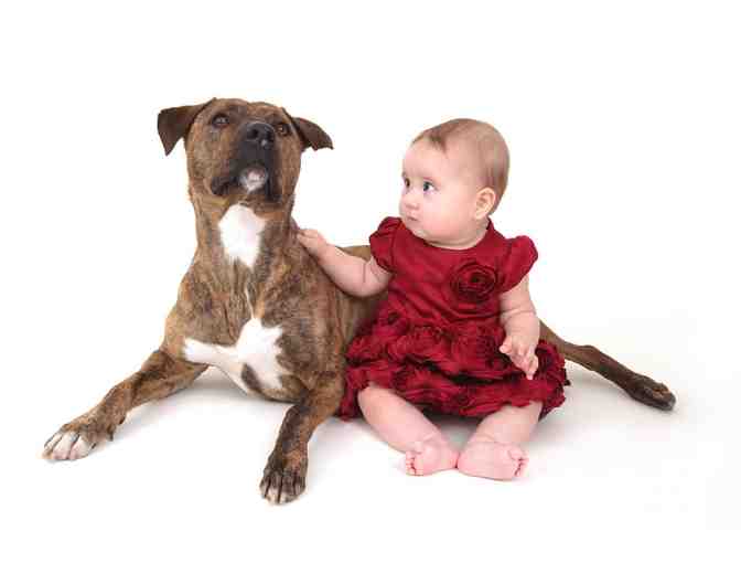 Family Portrait Session