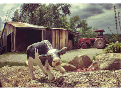Valet Parking by Photography Humorist, Plastic Farm Animals of New York