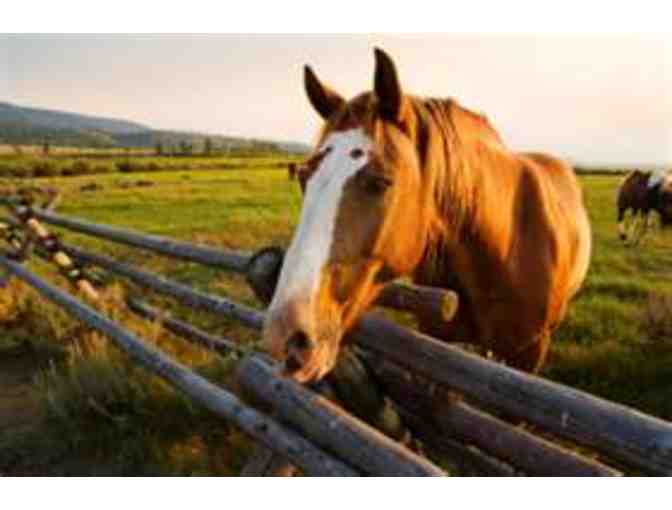 Wyoming Western Horseback and Wagon Family Adventure