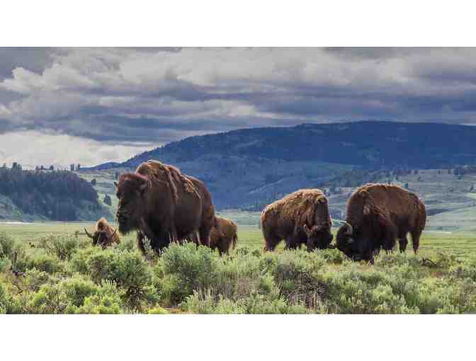 Wyoming Western Horseback and Wagon Family Adventure