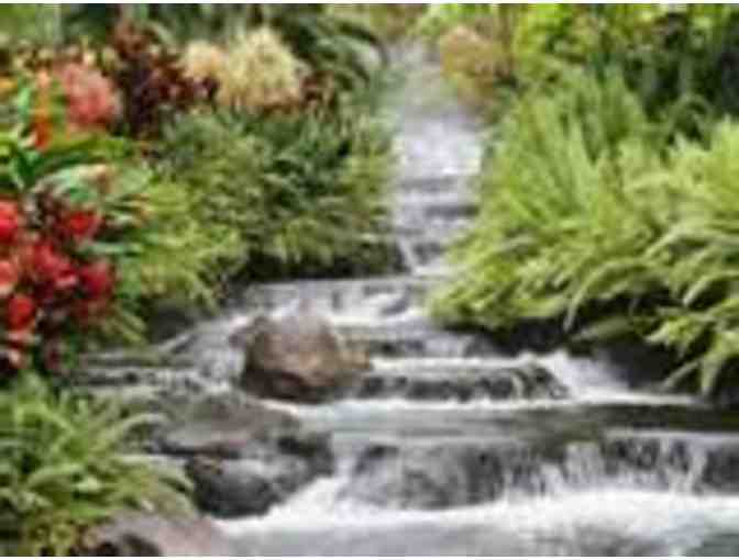 Invigorate Your Life! 60-Minute Life Coaching Strategy Session