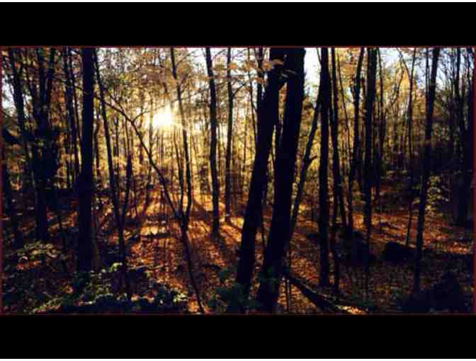 EarthDance: Creative Retreat for Two in Berkshire Hills, MA