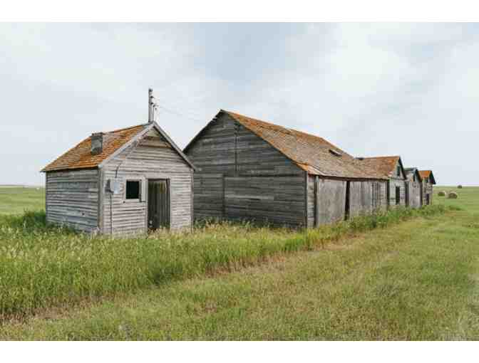 Photo Session with Top NYC Photographer