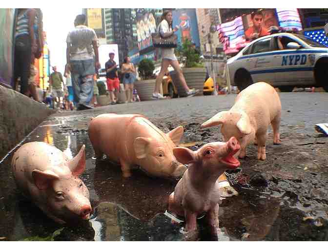 Bath Time in Time Square I, Plastic Farm Animals of New York - Photo 1