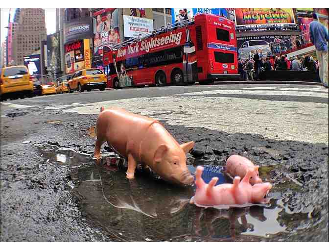 Bath Time in Time Square II, Plastic Farm Animals of New York - Photo 1