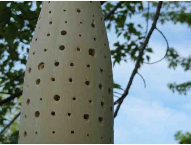 Hyde, Cynthia - 'Gowdy Bee Nesting Buoy'