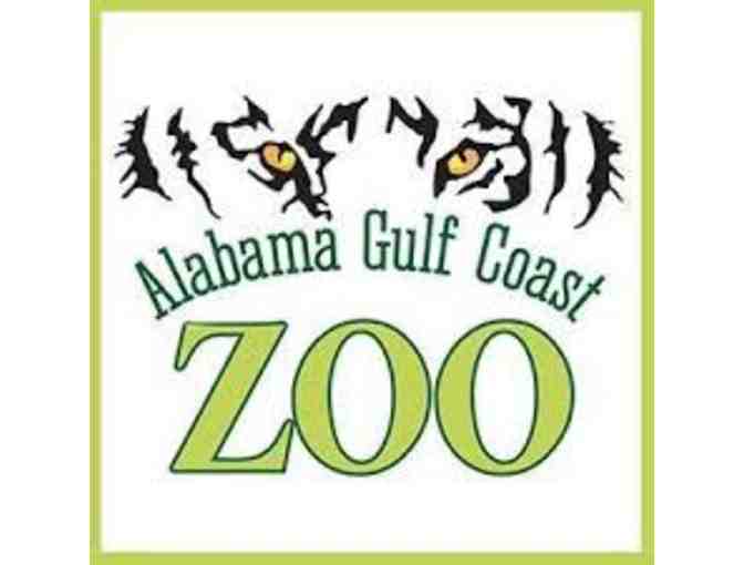 Time with Teachers A Day at the Zoo with Mrs. Phillips