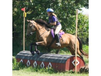 Chincoteague Pony Party