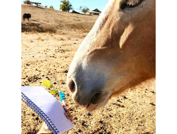 Writing with Horses Workshop