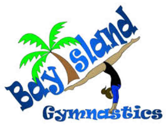 1 Month of Classes at Bay Island Gymnastics in Alameda - Photo 1