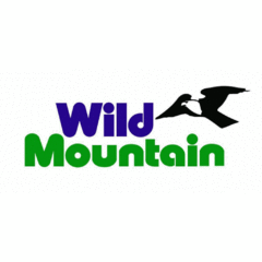Wild Mountain Taylors Falls Recreation