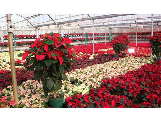 $25 Gift Certificate to Great Swamp Greenhouses