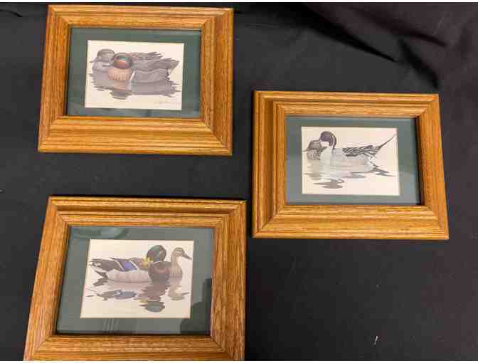 Set of 3 Richard Sloan Duck Prints