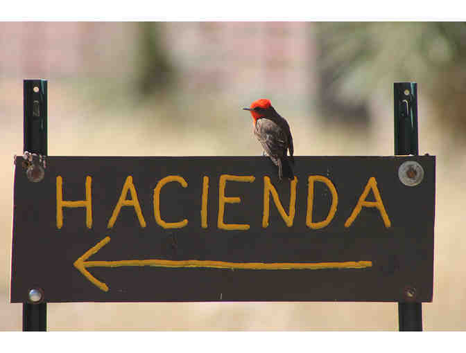 Four Bar Cottages: 2 Night Stay