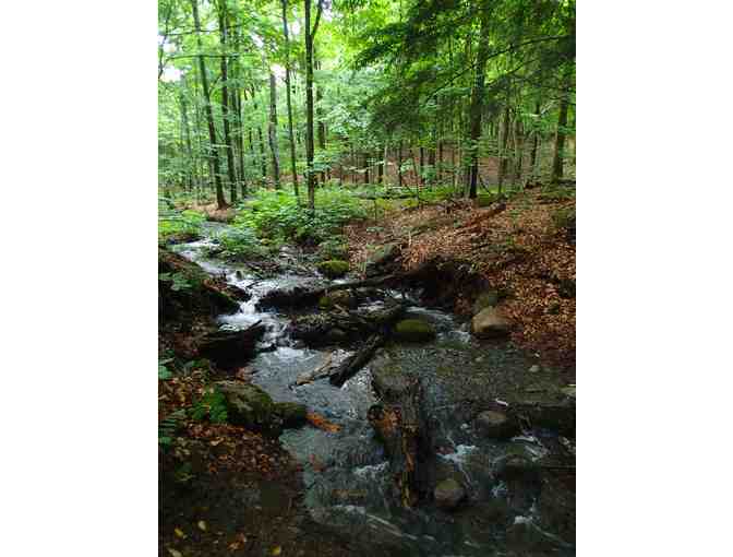 Tug Hill Mini Tour with Bob Quinn