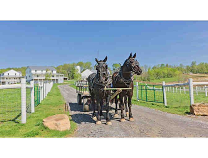 Family Admission to The Farm at Walnut Creek