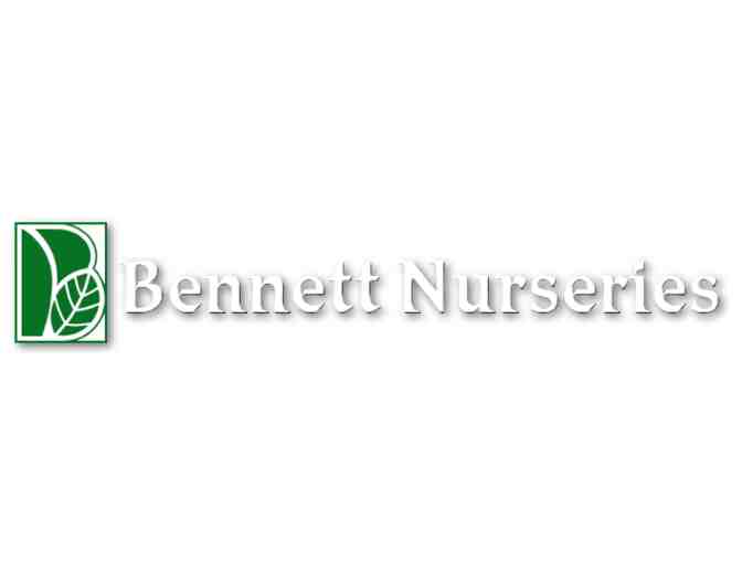 Spruce Up for Spring!