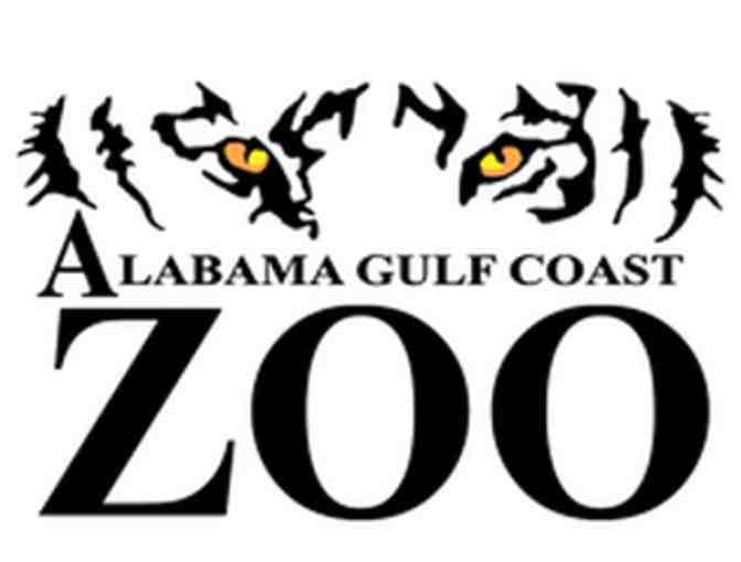 Lions, Tigers, & Bears! Oh My!