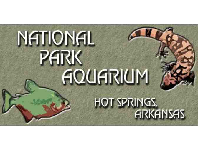 Wet & Wild in Arkansas!