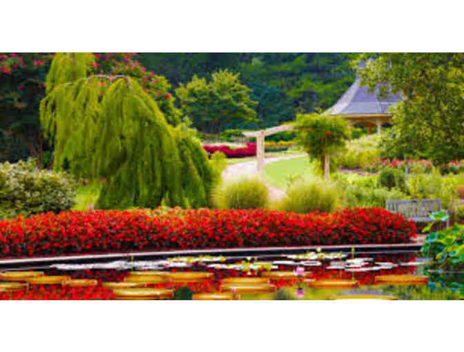 Spring Break Staycation