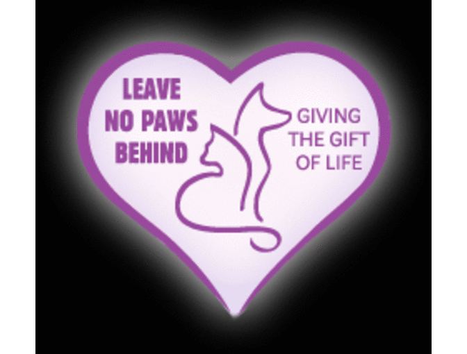 Peach Carr-Designed Ugly Christmas Dog Sweater