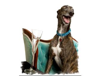 Gift Certificate for Pet Gem Tags