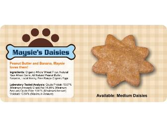 Homemade All -Natural Dog Treats