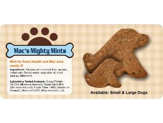 Homemade All -Natural Dog Treats