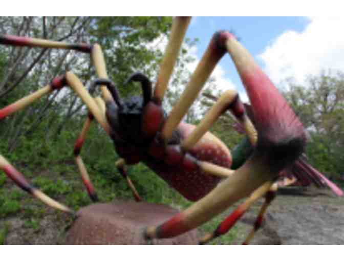 Lawrence Hall of Science - Private Behind-the-Scenes Group Tour + Lunch