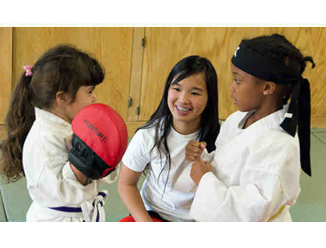 One Month of Martial Arts Class - 10 Gift Certificates Available