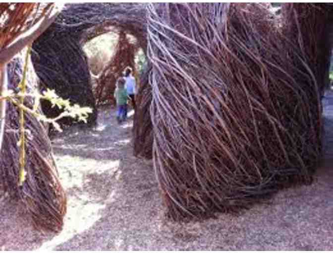 Discovery Museum Family Pass