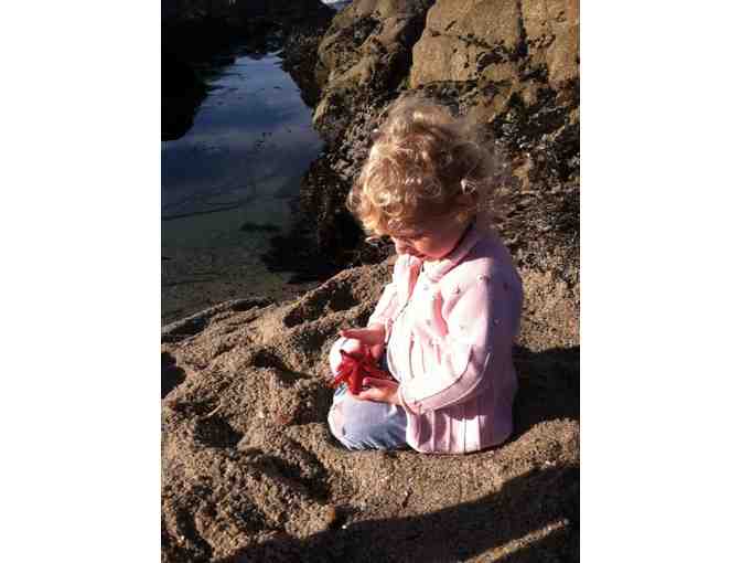 Tidepooling Day with a Marine Biologist