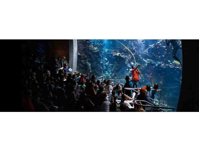 California Academy of Sciences Four General Admission Tickets