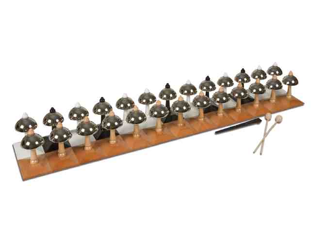 $150 Shares for Purchase of Montessori Bells - Photo 1