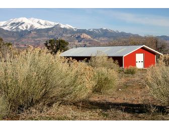 Henry Mountain Adventure at the Cat Ranch: Exclusive Vacation for Six