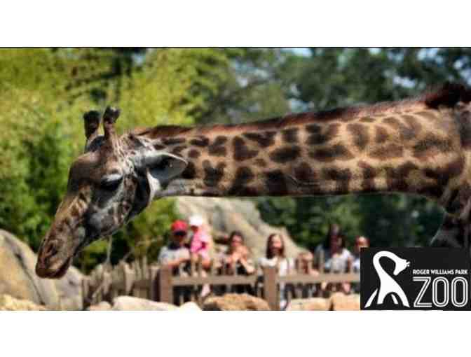 Roger Williams Park Zoo: 4 Tickets