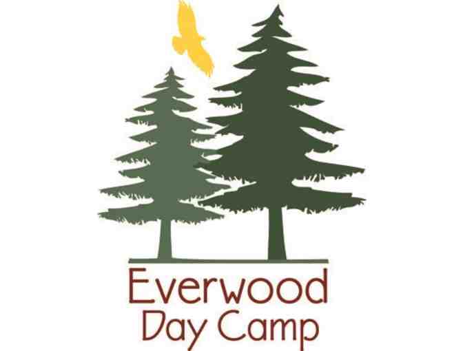 Everwood Day Camp: $325 Gift Certificate