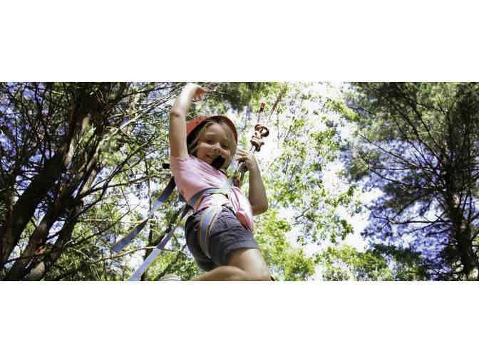 Everwood Day Camp: $325 Gift Certificate