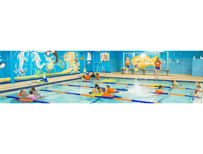 Goldfish Swim School: 1 Month Swim Lessons (Needham location) and Three Family Swim Passes