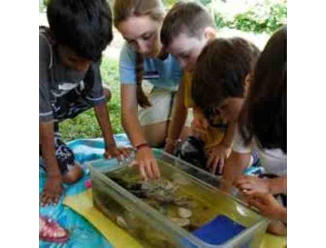 Summer at Park: $200 Off 1 Session of Summer Camp at The Park School in Brookline