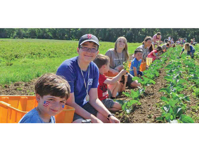 Mass Audubon Drumlin Wildlife Sanctuary: Admission for 5