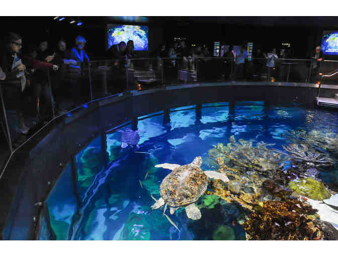 New England Aquarium: 2 Passes