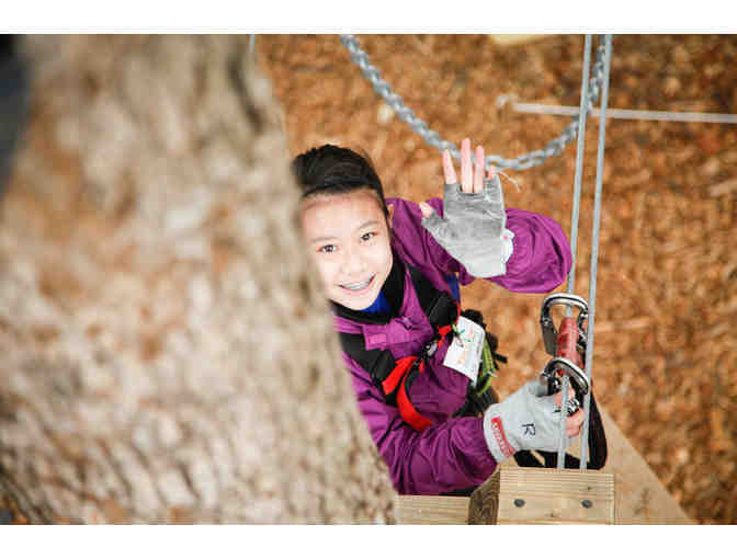 TreeTop Adventures Zip-Line and Climbing Park in Canton - 2 Tickets
